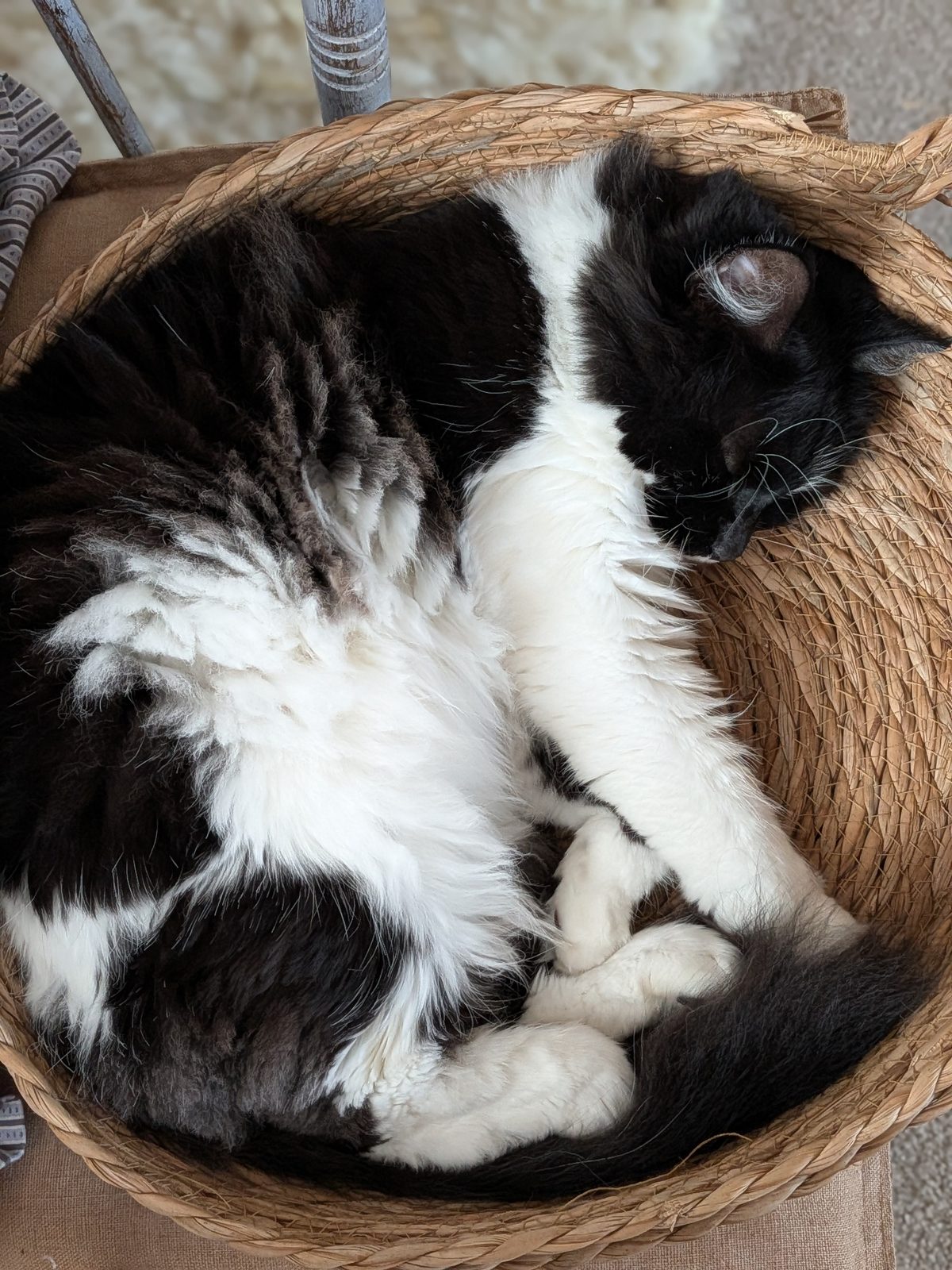 Martha leaning against her brother Jarvis, sleepy.